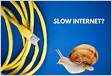 Slow internet speed rParrotSecurity